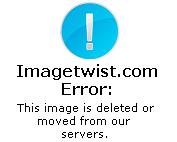 The Copycat – Version 1.2.0 – Added Android Port [PiggyBackRide Productions]